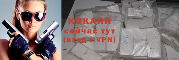 гидра Белокуриха