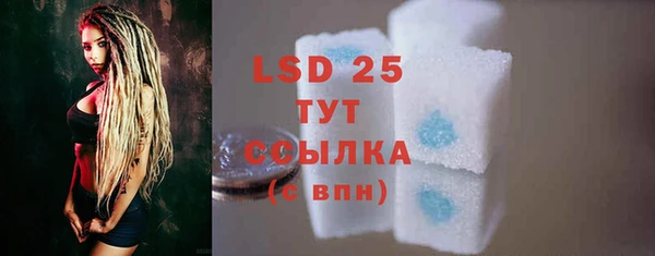 гидра Белокуриха