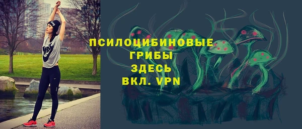 гидра Белокуриха