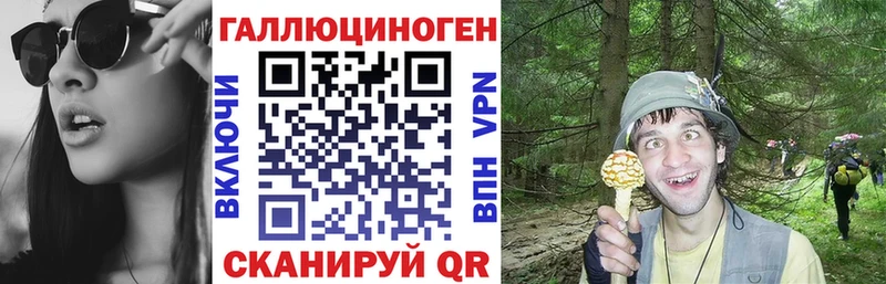 где купить наркоту  Семикаракорск  Псилоцибиновые грибы Psilocybe 